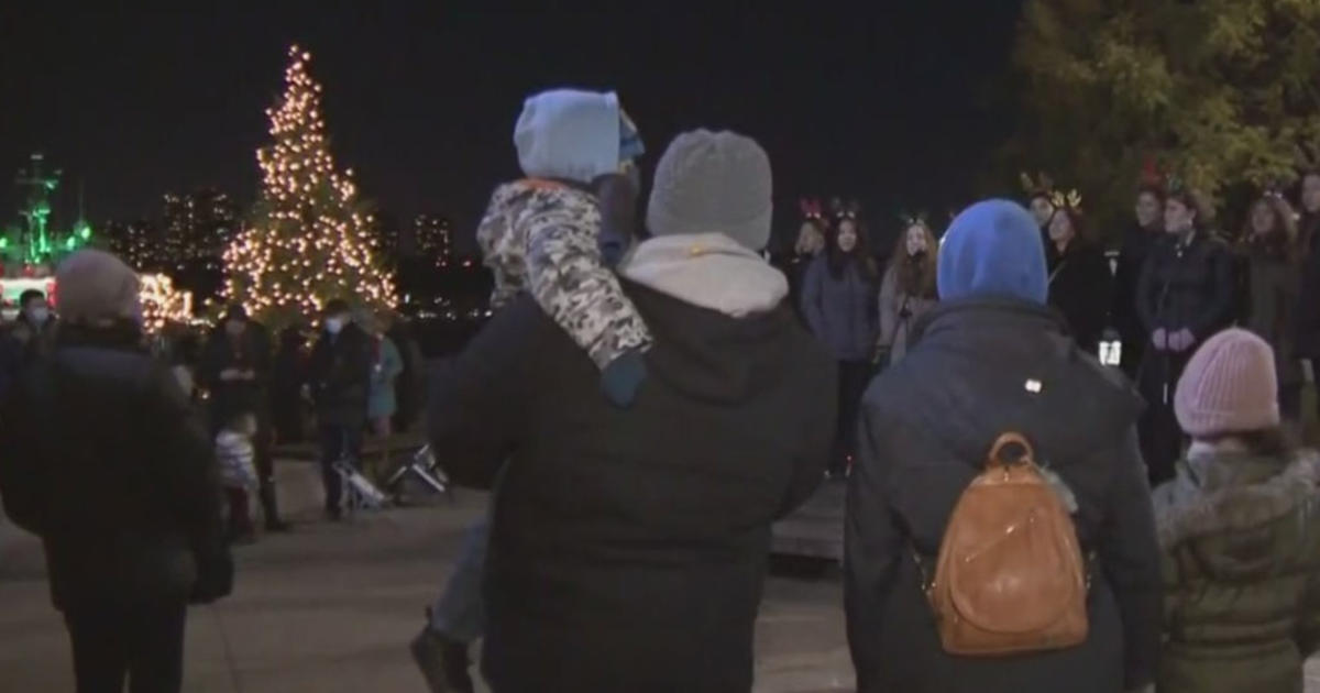 Tree Lighting Celebration Returns To West Harlem Piers Park CBS New York