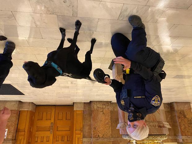 capitol sniffing dogs 