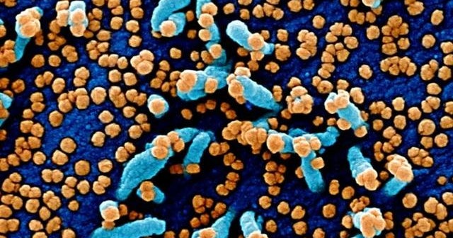 Delta variant dominates new infections as Omicron strain spreads across ...