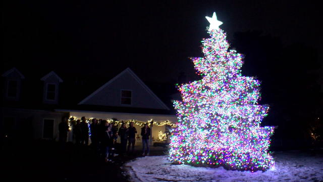 pittsburgh-christmas-tree-2021.png 