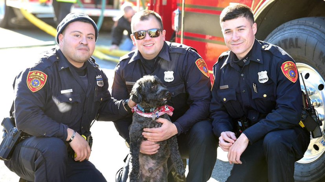 suffolk-county-police-save-dog.png 