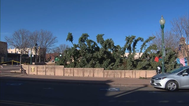 Sallinger Denver West Wind - Blumer raw_frame_22396