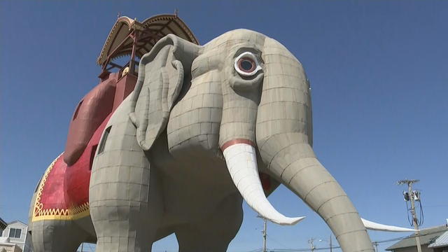 63VO_LUCY-ELEPHANT-TOURS_frame_1644.jpg 