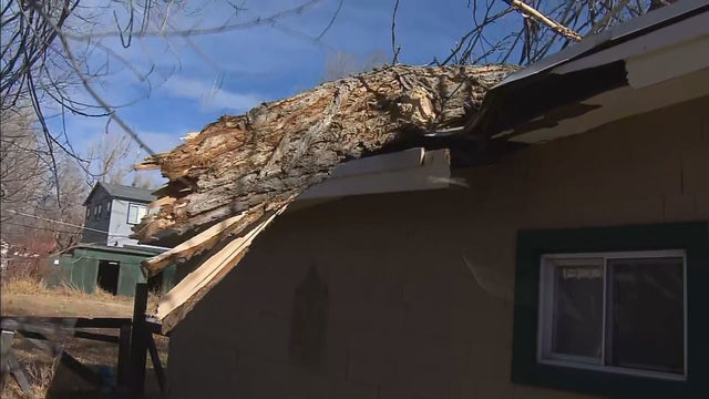 Sallinger Denver West Wind - Blumer raw_frame_30160