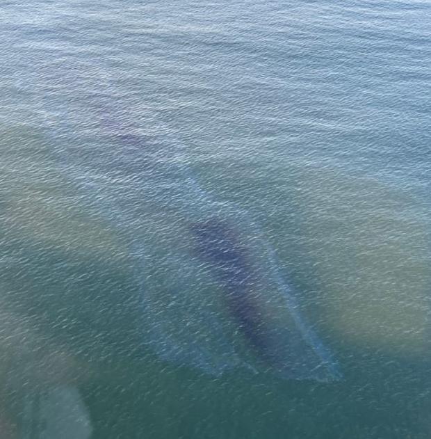 Oil Slick Discovered Off Huntington Beach Coastline 