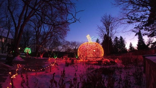Minnesota Landscape Arboretum Winter Lights Show 