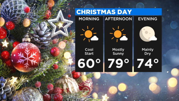 Christmas Day PLANNER 
