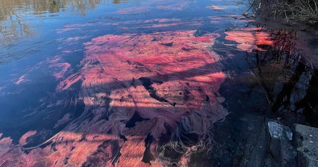 Crews Working To Clean Up Heating Oil From Miller's River After 6,000