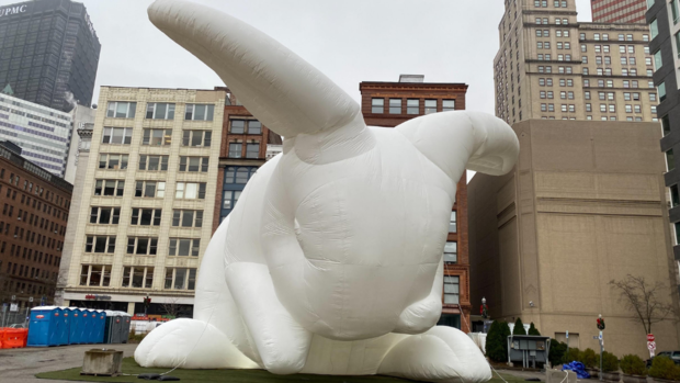 intrude-giant-rabbit 