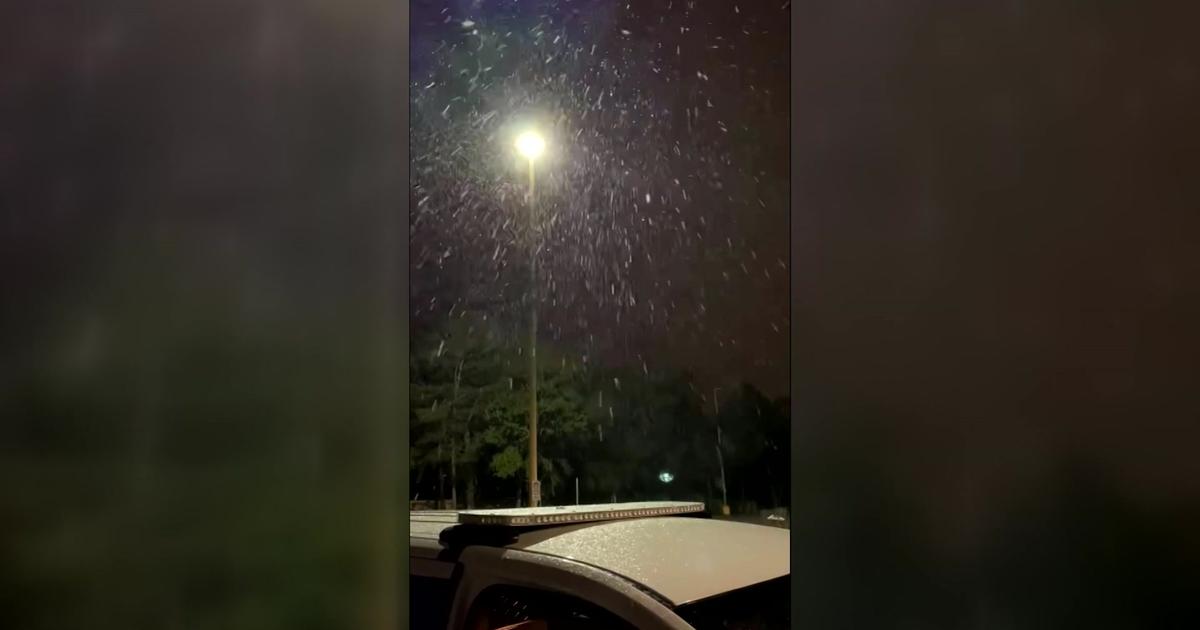 SEE IT; Not Beach Weather, Florida Panhandle Dusted With Snow CBS Miami