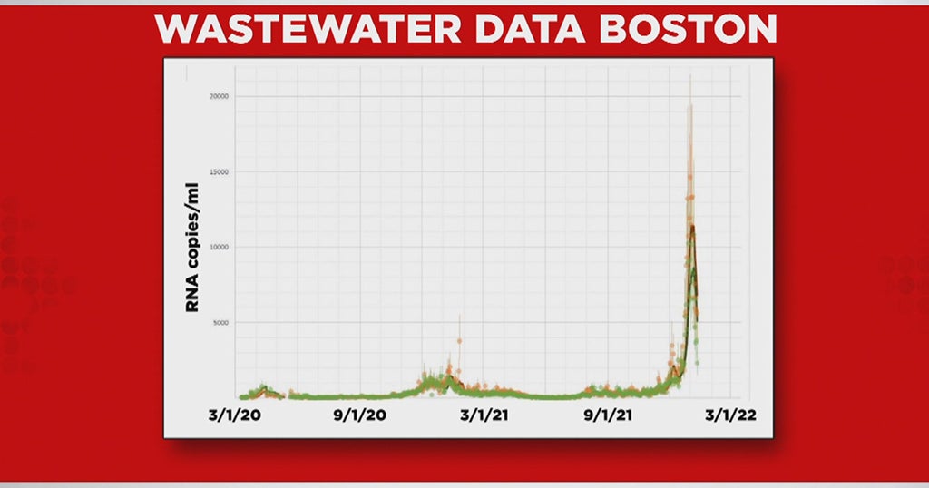 Boston Wastewater Suggests Surge Of Omicron Cases May Be Falling Off