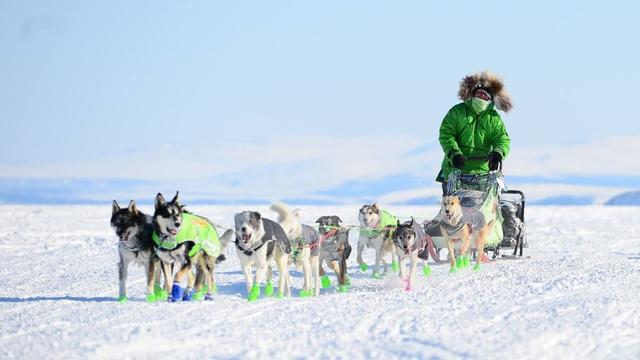 Mushing.jpeg 