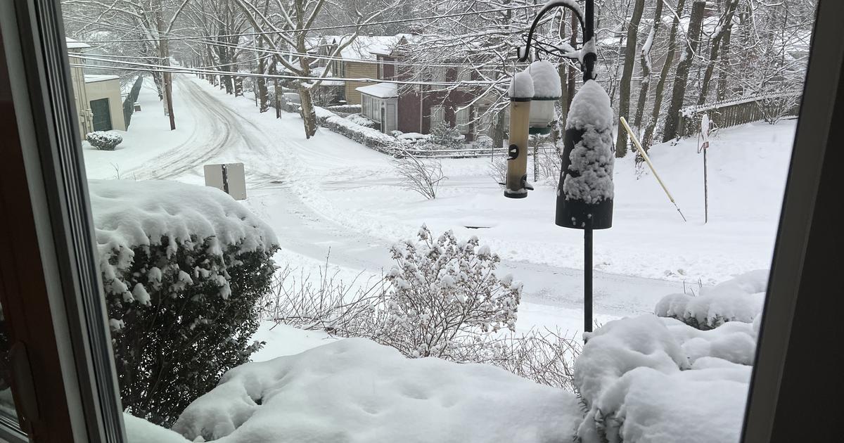 maryland snow pictures viewer