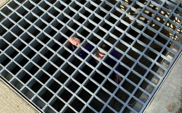 Southlake kid snake 1