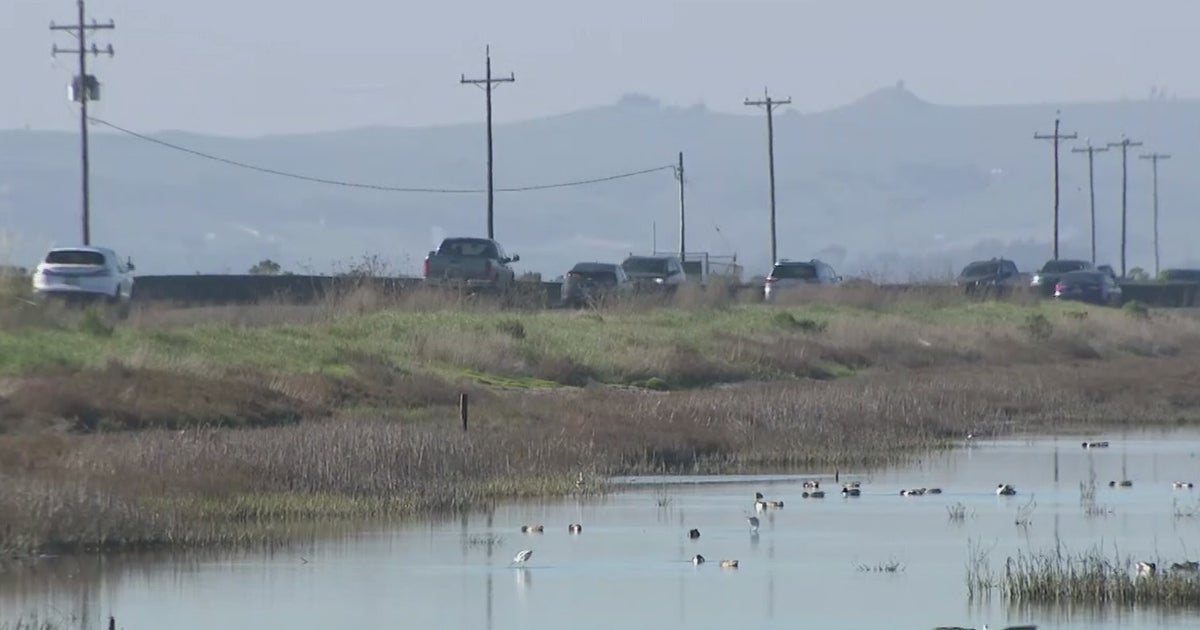Caltrans To Hold Upcoming Hearings On Future Of Highway 37 Corridor Amid Likely Sea Level Rise - CBS San Francisco Caltrans To... 