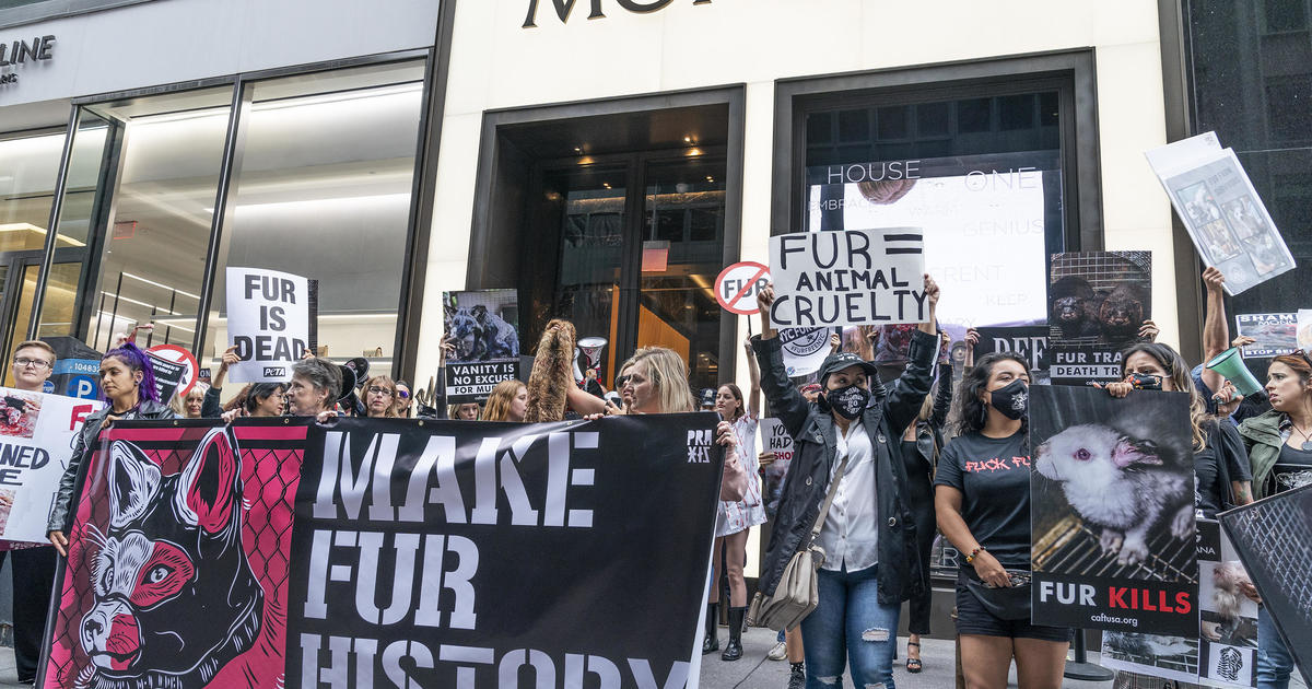 Italian luxury brand Moncler to go fur-free by 2024 - CBS News