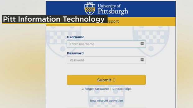 Pitt Phishing Scam 