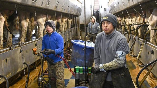 farm-workers-ap-photohans-pennink.jpg 