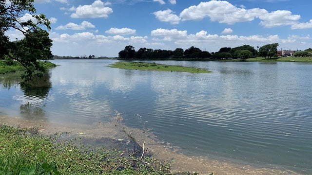 Bachman-Lake-sediment-2.jpg 