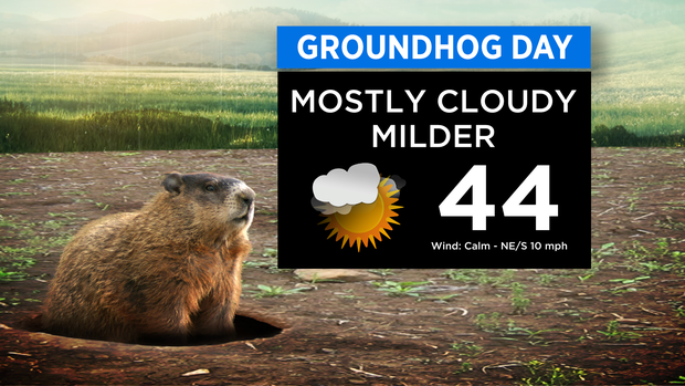 SkyCast Groundhog Day 