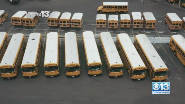 school-buses.jpeg 