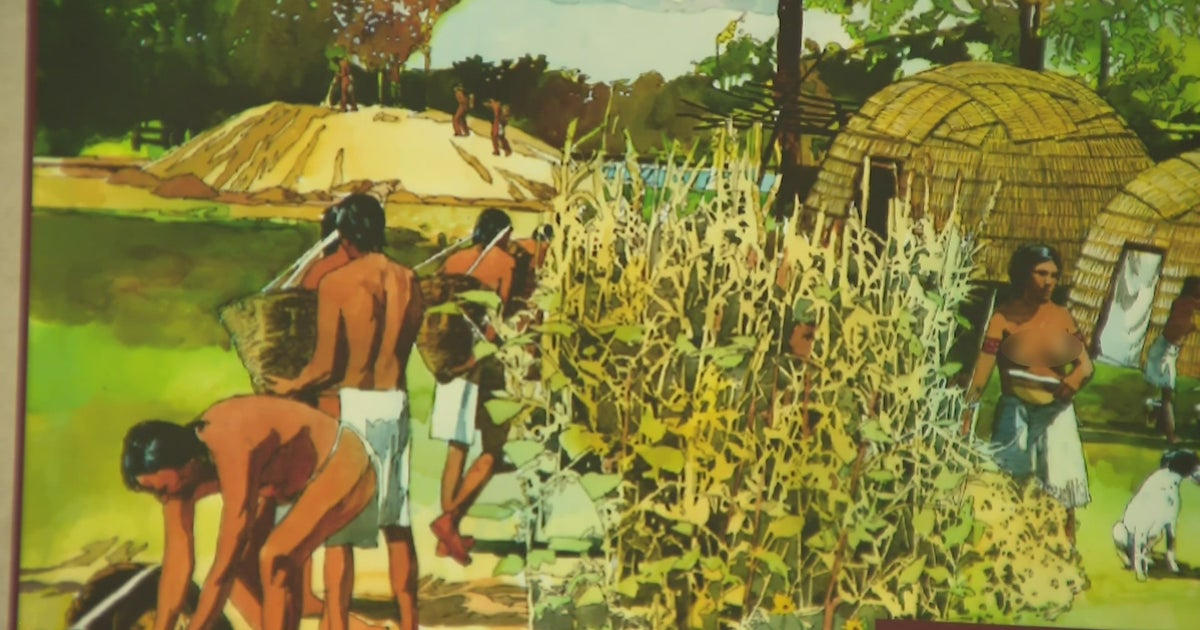 Elmhurst History Museum's 'People Of The Prairie' Highlights Native ...