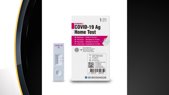 at-home-covid-test.png 