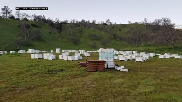 stolen-bee-boxes-found.jpg 