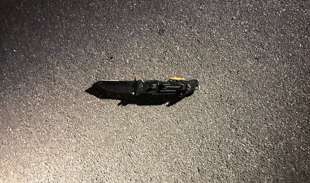 knife lake forest DIS 