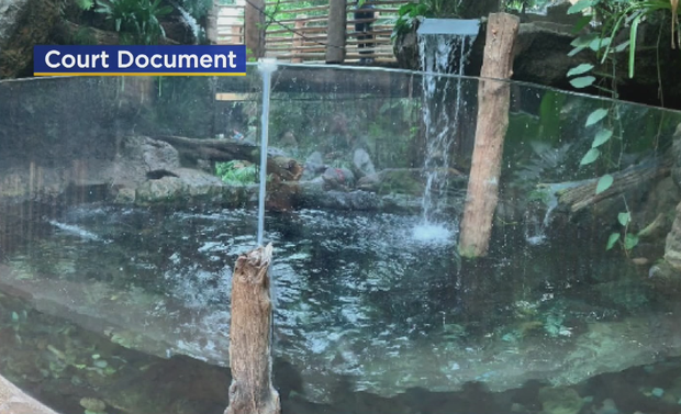 Dallas World Aquarium otter exhibit 