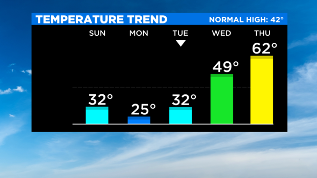 SkyCast Temp Trend 2 