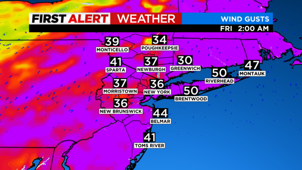 SkyCast FutureCast Wind Gusts EURO 