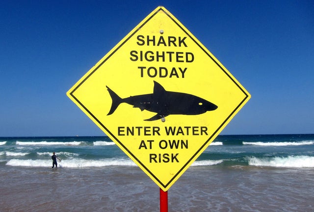 FILE PHOTO: A surfer carries his board into the water next to a sign declaring a shark sighting on Sydney's Manly Beach Australia 