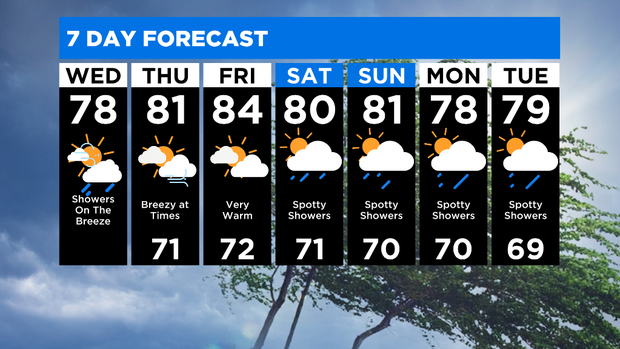 7 Day Forecast 