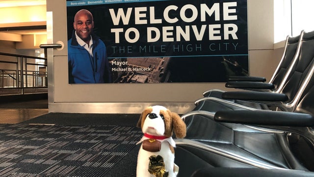 Airport-Stuffed-Dog-1-Milwaukee-Mitchell-International-Airport-tweet-1.jpg 