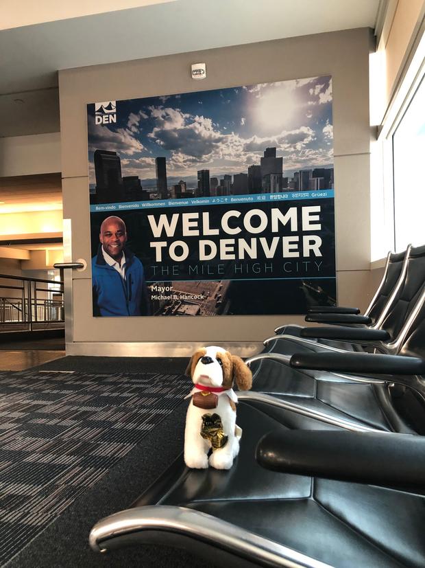 Airport Stuffed Dog 1 (Milwaukee Mitchell International Airport tweet) 