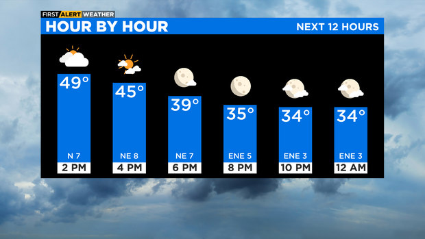 Bar Graph Next 12 Hours 