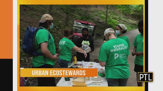 kidsburgh-ecojobs.png 