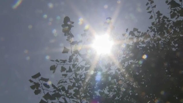 summer-sun-1.jpg 