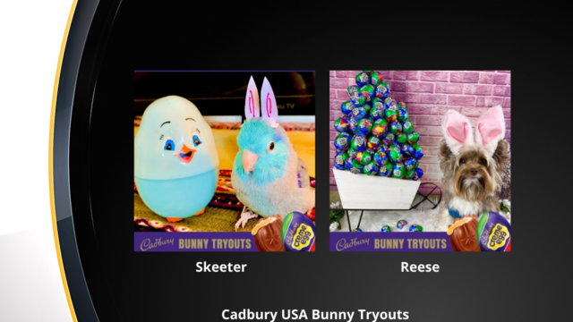 cadbury-bunny-skeeter-reese.png 