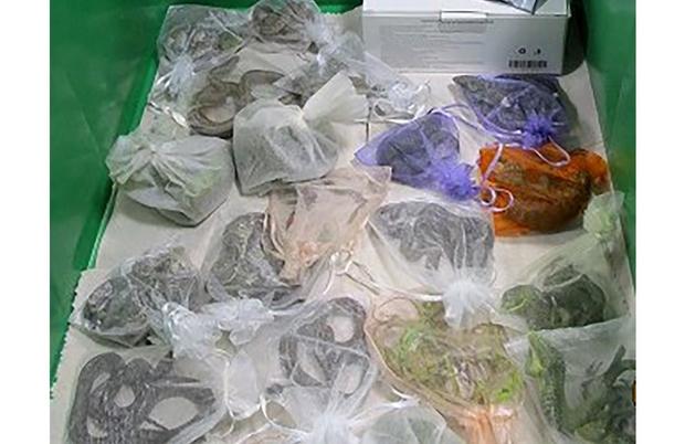 february-2022-photo-provided-by-the-u-s-customs-and-border-protection-shows-snakes-in-bags-found-hidden-under-and-in-a-mans-clothes-by-cbp-officers-at-the-san-ysidro-calif-port-of-entry.jpg 