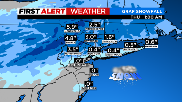 skycast-futurecast-snowfall-graf.png 
