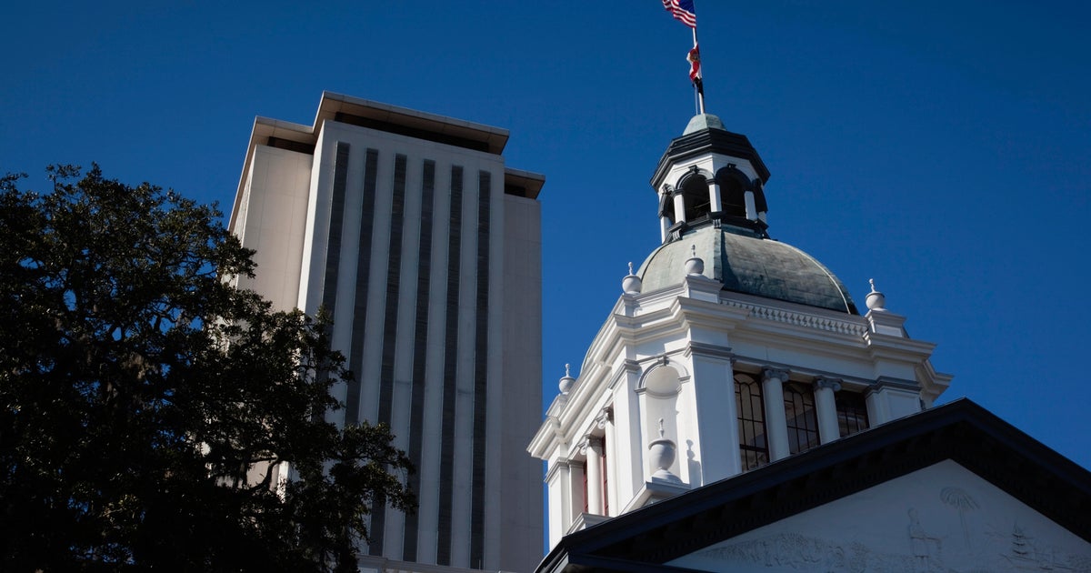 Florida Senate, Household experience funds discrepancies