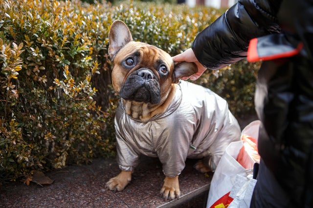 Russia-Ukraine War: Refugees evacuated from Uzhhorod 