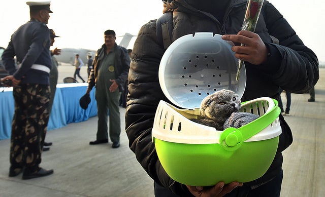 Russia-Ukraine Conflict: Students Evacuated By Indian Government From Ukraine 