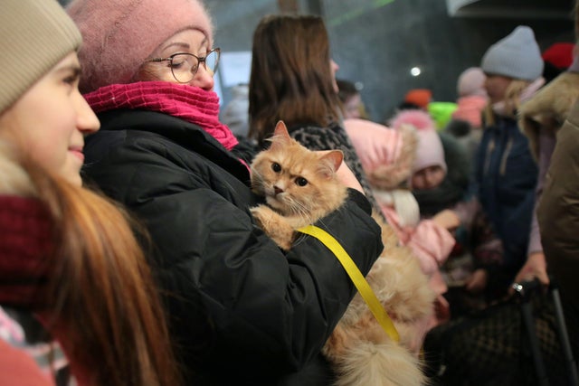 Refugees at Lviv railway station 