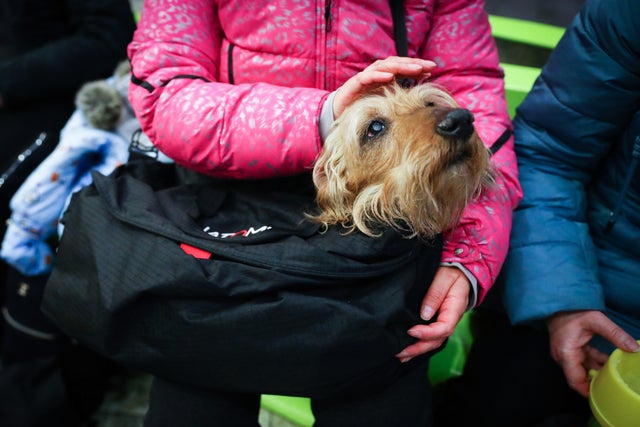 Refugees From Ukraine At The Train Station In Poland 