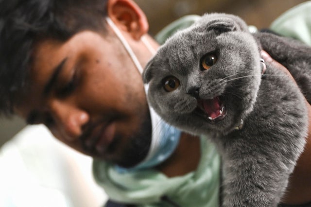 INDIA-UKRAINE-RUSSIA-CONFLICT 