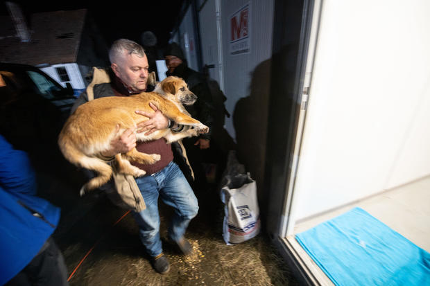 Ukraine conflict - animal rescue 