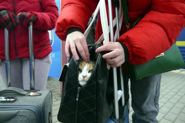 Evacuation train in Odesa 